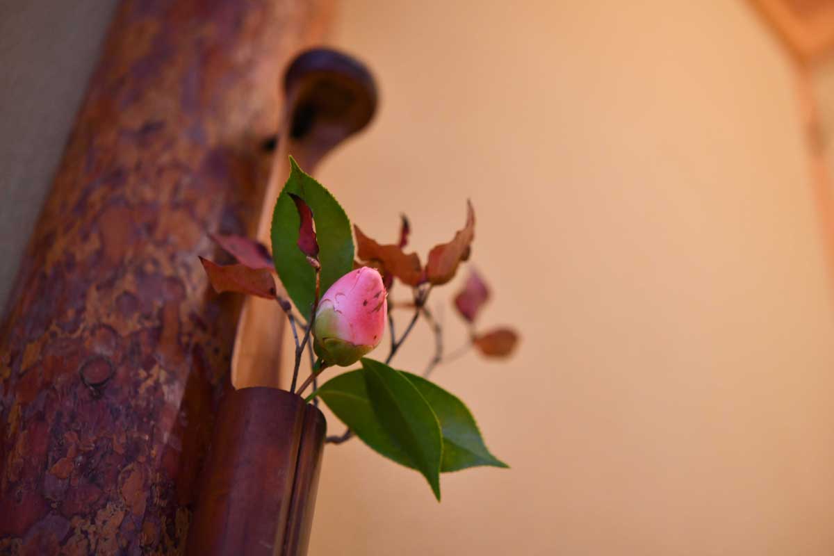 レッスン茶室に飾れた花